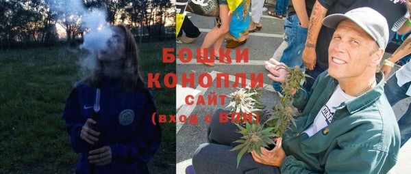 сатива Корсаков