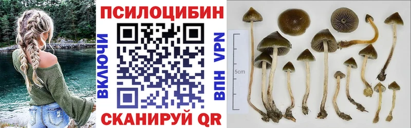 Псилоцибиновые грибы GOLDEN TEACHER Сухой Лог