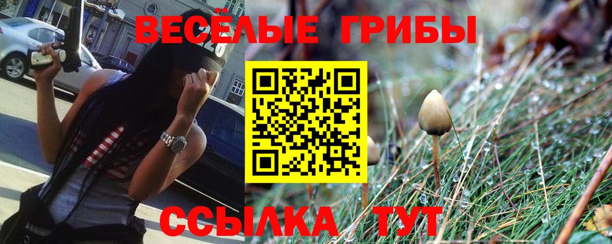 Сухой Лог  Галлюциногенные грибы мухоморы  Вход с VPN 